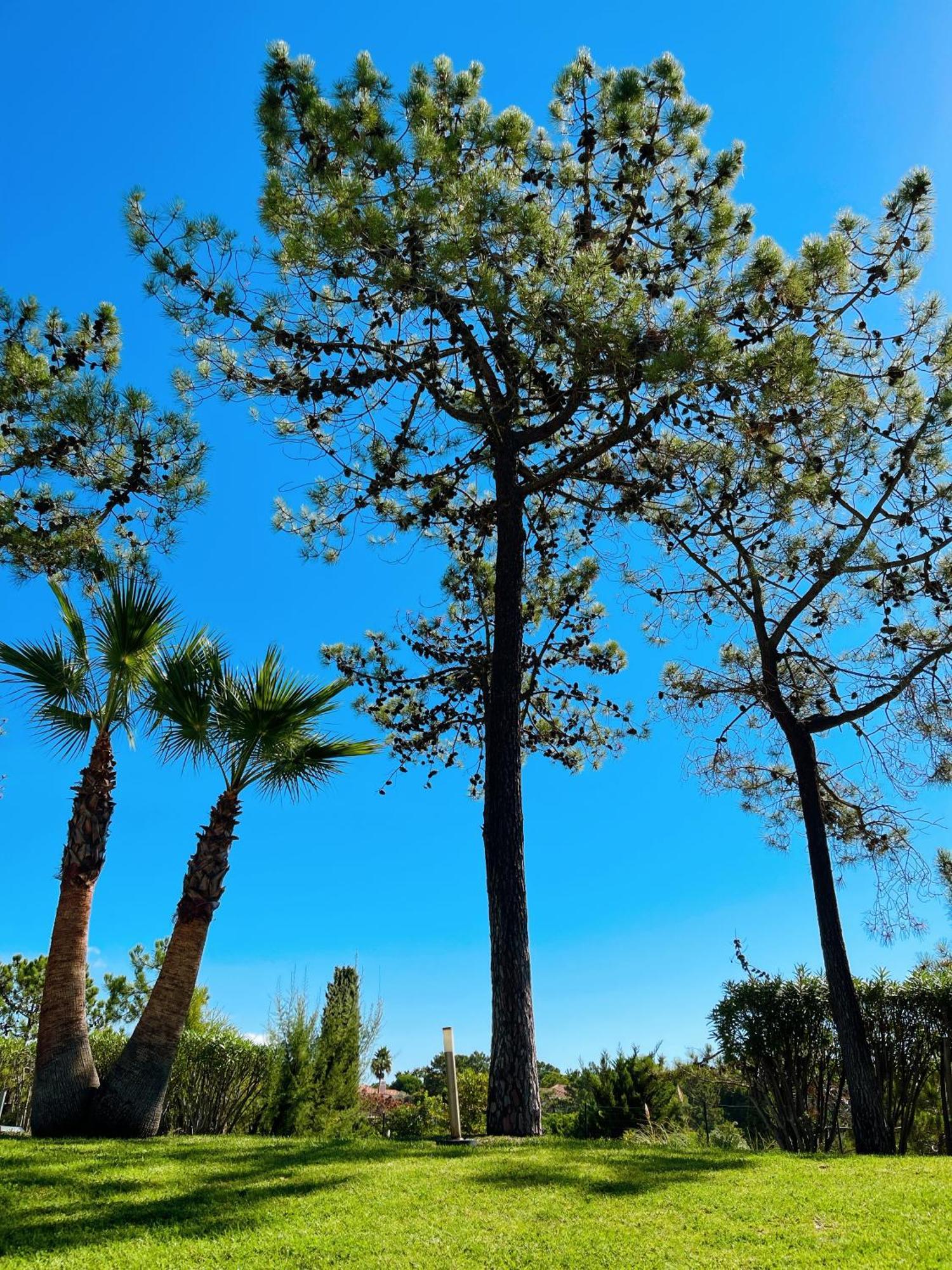 Scarlet'S Place - 1 Bed Victory Village Quinta Do Lago - Beach, Nature, Lakes 외부 사진